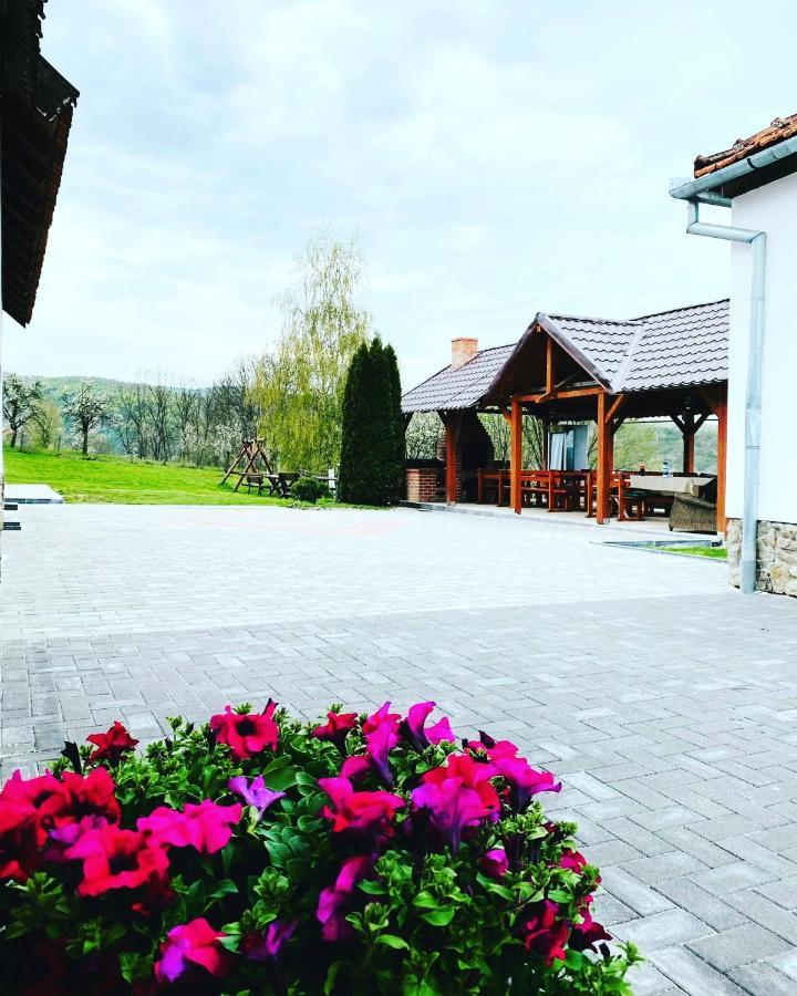 Pensiunea Turistica Retreat Belvedere Vadu Crisului Exterior foto